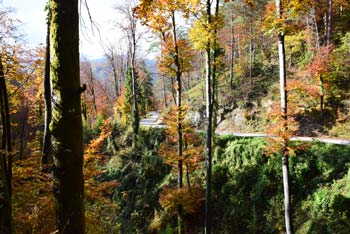 Bajdinški potok je znan po več slapovih, a nas izlet vodi le mimo manjših lehnjakovih slapišč.