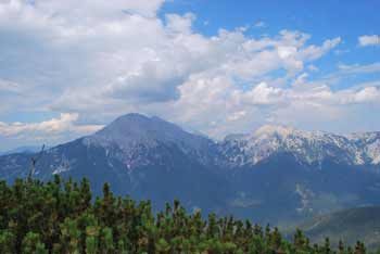 Cjanovca je razgledna gora v zahodnem predelu Kamniško-Savinjskih Alp in je priljubljena planinska destinacija.
