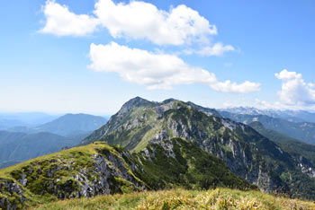 Črna prst je priljubljen vrh na Spodnjih Bohinjskih gorah na katerem stoji planinski Dom Zorka Jelinčiča.