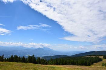 Črni vrh je razgleden zlasti proti zahodu na Karavnke in Kamniško-Savinjske Alpe.
