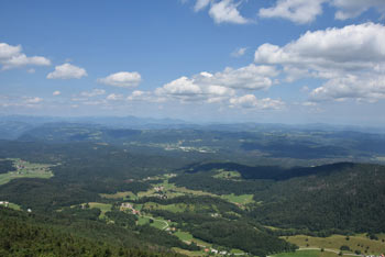 Javornik nad Črnim vrhom je razgleden vrh nad smučarsko progo.