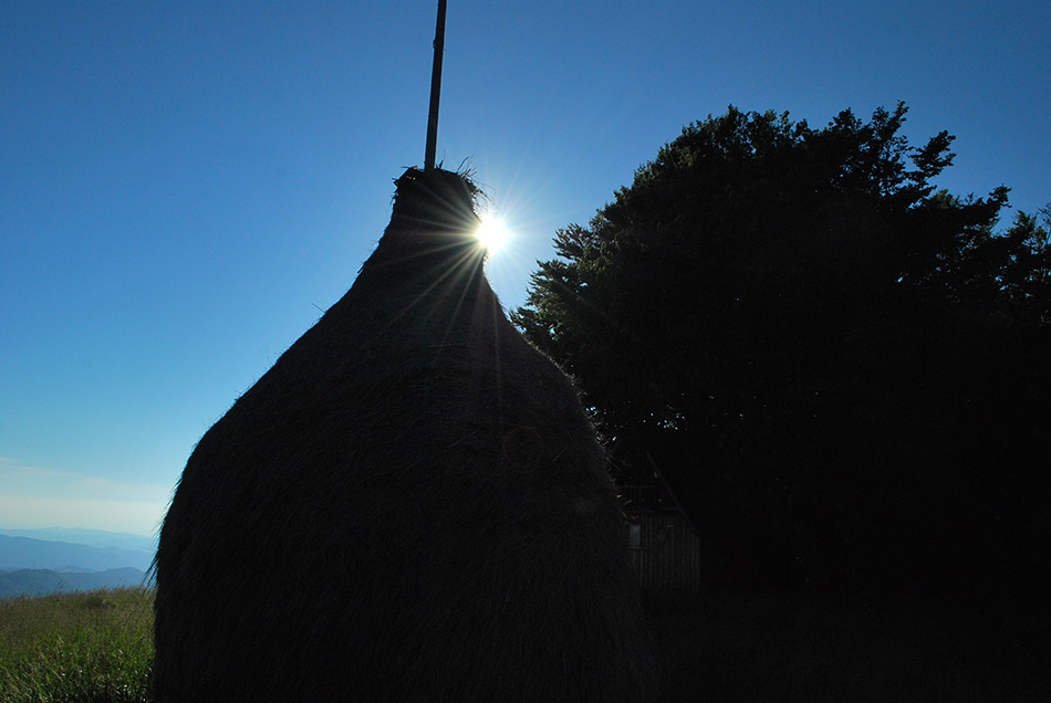 Za Kojco je značilna visoka senena kopica, ki je na fotografiji skriva za soncem.
