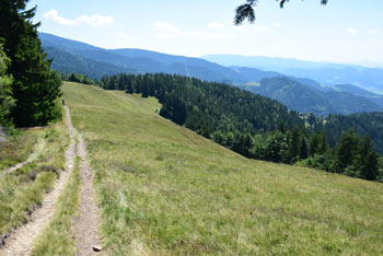 Kremžarjev vrh ni razgleden, so pa tik pod vrhom košenice, kjer se vidi proti Veliki Kopi in na dolino Mislinje.