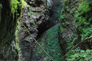 Mrzla jama se nahaja na Notranjskem na poti na bližnji Kršičevec.