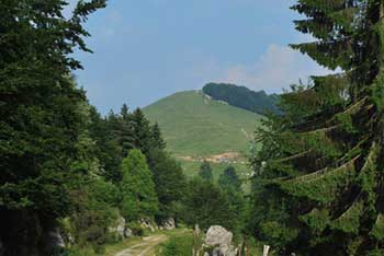 Mrzli vrh se nahaja na zahodnem predelu Julijskih Alp na Severnem Primorskem.