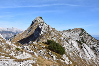 Planina za Migovcem kot Konjsko sedlo sta del Bohinjskih gora.