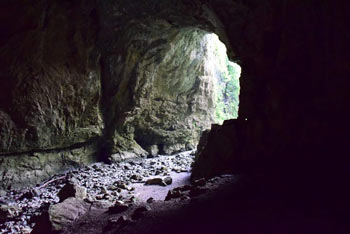 Tkalca jama pri Velikem naravnem mostu v Rakovem Škocjanu posneta s stranskega okna.