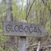 globocak-066