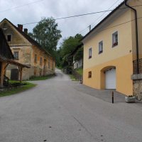 gozdna-pot-pisece-03