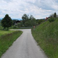 gozdna-pot-pisece-05
