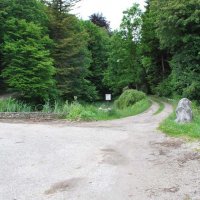 gozdna-pot-pisece-06