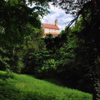 gozdna-pot-pisece-09