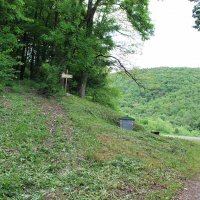 gozdna-pot-pisece-12
