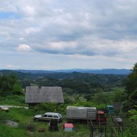 gozdna-pot-pisece-23
