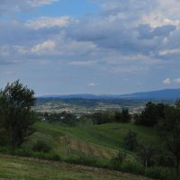gozdna-pot-pisece-24