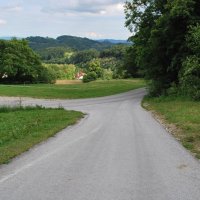 gozdna-pot-pisece-26