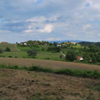 gozdna-pot-pisece-27