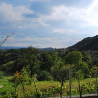 gozdna-pot-pisece-29