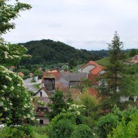 gozdna-pot-pisece-30