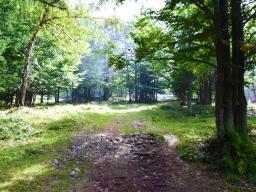 gradisce-na-veliki-planini-13