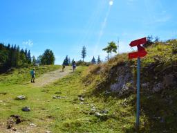 gradisce-na-veliki-planini-24