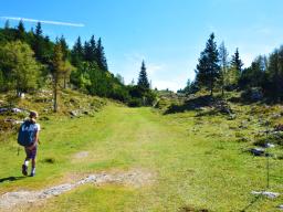 gradisce-na-veliki-planini-25