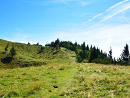 gradisce-na-veliki-planini-27