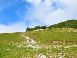 gradisce-na-veliki-planini-31