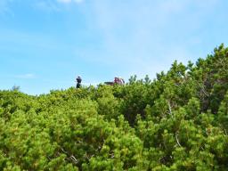 gradisce-na-veliki-planini-35