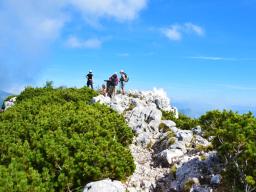 gradisce-na-veliki-planini-36