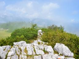 gradisce-na-veliki-planini-39