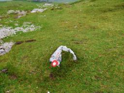 gradisce-na-veliki-planini-47