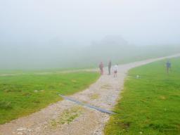 gradisce-na-veliki-planini-55