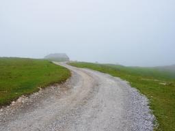 gradisce-na-veliki-planini-63