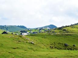 gradisce-na-veliki-planini-68