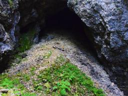 gradisce-na-veliki-planini-75