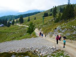 gradisce-na-veliki-planini-90