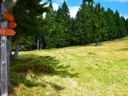 koca-na-loki-pod-raduho-33