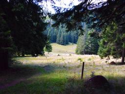 koca-na-loki-pod-raduho-36