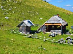 koca-na-loki-pod-raduho-62