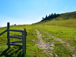 koca-na-loki-pod-raduho-63