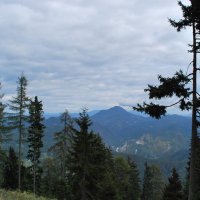 kralj-matjaz-03