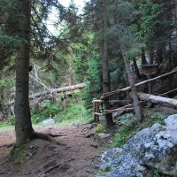 kralj-matjaz-08