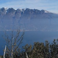 montecastello02