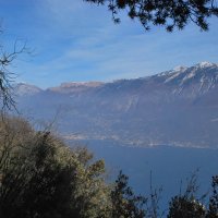 montecastello06