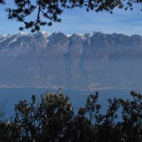 montecastello07