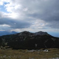 peca-23