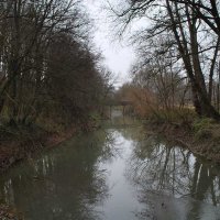 razkriski-kot-08