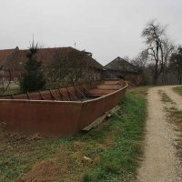 razkriski-kot-15