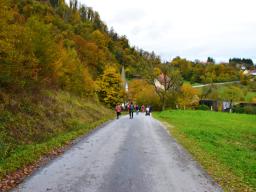 zavetisce-smarnica-na-mali-rudnici-11